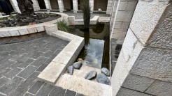 baptism pool repurposed as fishpond